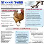 внимание! ИНФОРМАЦИЯ для НАСЕЛЕНИЯ - фото - 3