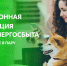 электронная квитанция от АтомЭнергоСбыта экономит время на получении и при оплате услуг ЖКХ - фото - 1 - Ельнинский район