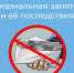 нелегальная занятость – угроза вашему настоящему и будущему - фото - 1 - Ельнинский район